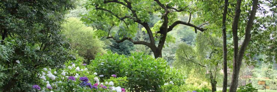 montpellier jardin des plantes