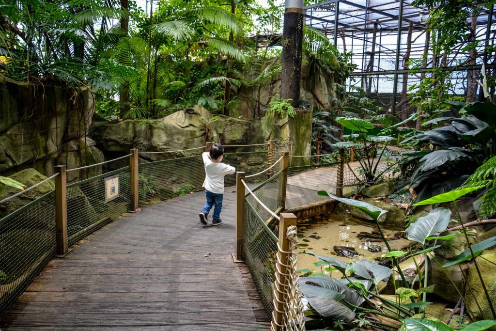 la serre amazonienne avec ses plantes et animaux exotiques