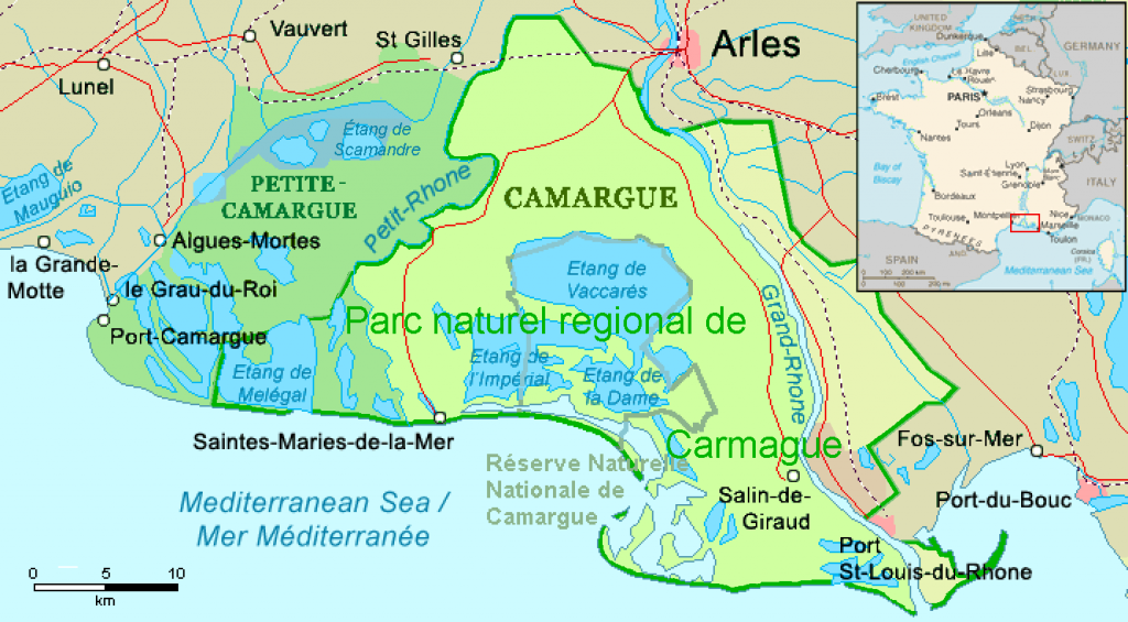 What to Do in Camargue, France