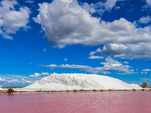 salt marshes aigues mortes