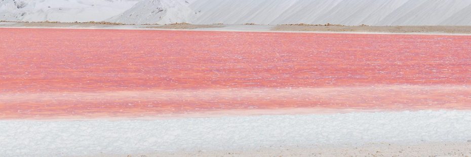 salt marshes aigues mortes