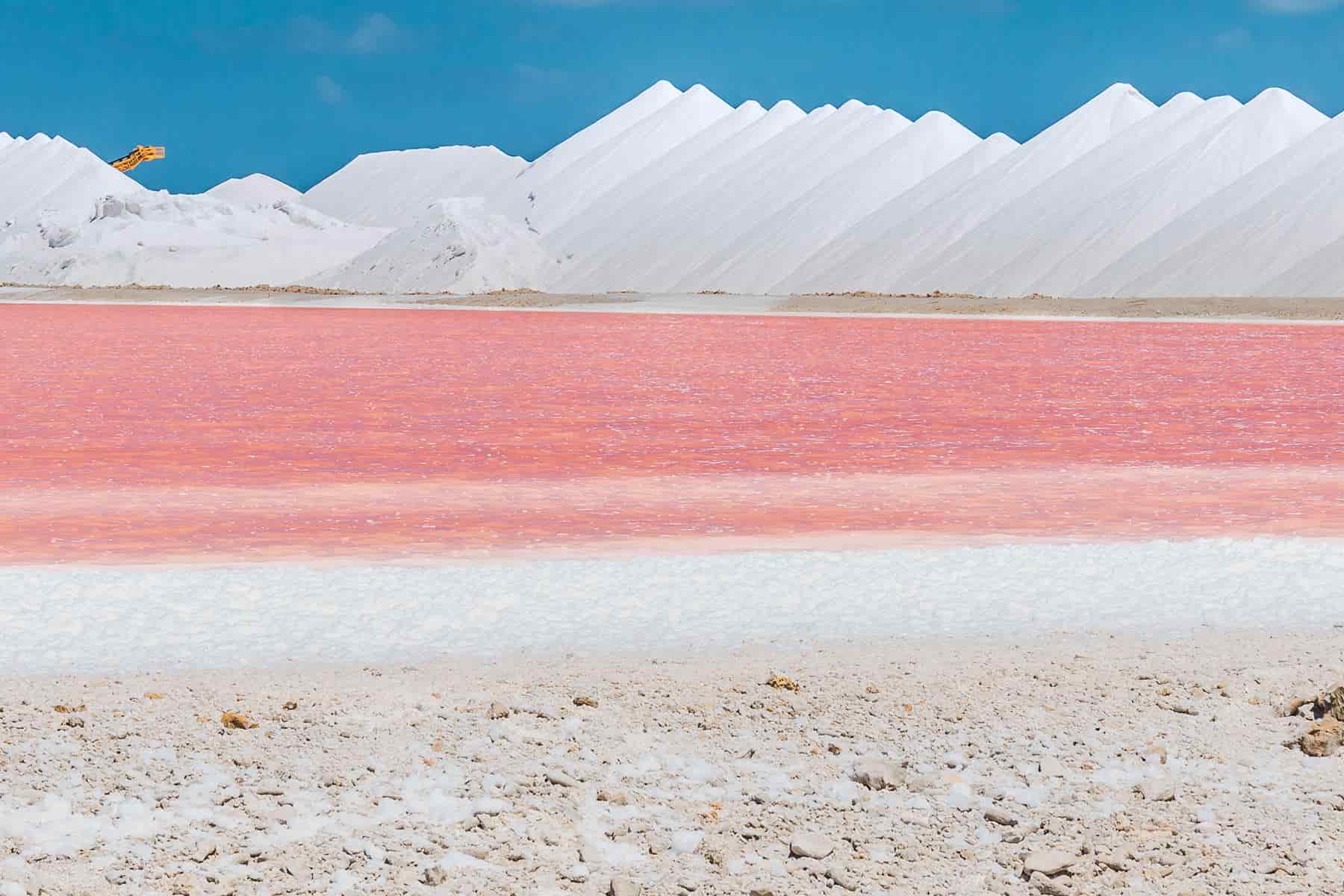 All About the Salt Marshes in Aigues-Mortes • La Comédie de Vanneau