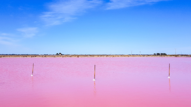 salt marshes aigues mortes